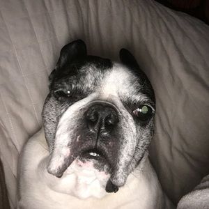 Meet your Posher, Ava